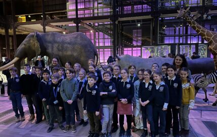 Des océans à l’évolution du vivant : les CM1-1 au Muséum national d’Histoire naturelle